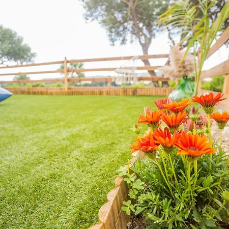 公寓 Arokaria Seaview House Koskinou (Rhodes)